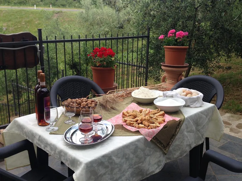 Farma Agriturismo S. Apollinare Piancastagnaio Itálie